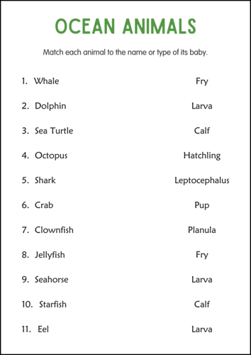 Printable Ocean Animals Activity Worksheets for Grade 2, 3, 4 - Sea ...