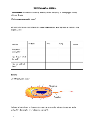 docx, 154.66 KB