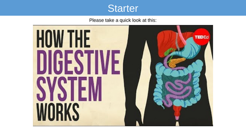 AQA GCSE Biology Intruduction to Digestion and Enzymes | Teaching Resources
