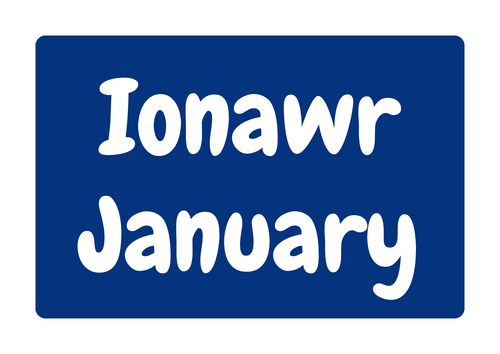 Wall displays - Months of the year / Misoedd y flwyddyn