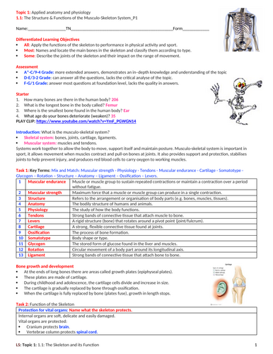 GCSE PE (Spec 2016 Edexcel) Topic 1: 1.1: Structure & Functions of the ...