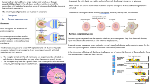 Complete outstanding lesson on Gene expression and cancer | Teaching ...