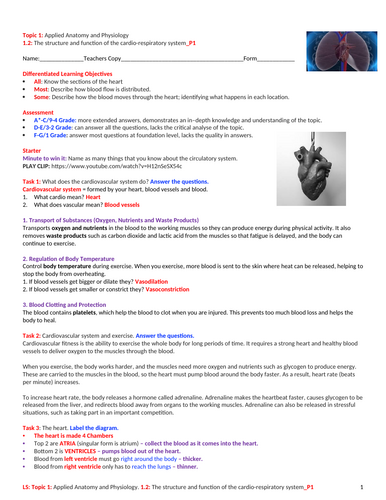 GCSE PE (Spec 2016 Edexcel) Topic 1: 1.2: Structure & Functions of the ...