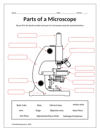 Parts of a Microscope Labeling & Functions Worksheet - Science + Word ...