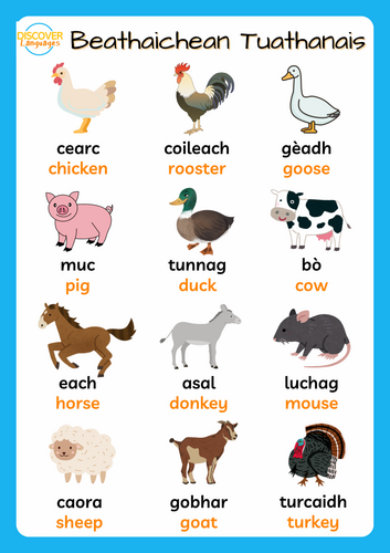 Scots Gaelic Farm Animals Vocabulary Worksheets Posters and Wordsearch ...