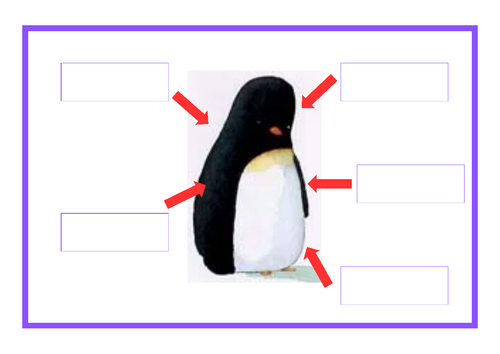 pdf, 234.12 KB