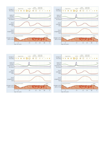 GCSE AQA Biology Homeostasis: Hormones and the menstrual cycle ...