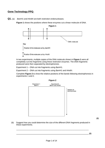docx, 226.23 KB