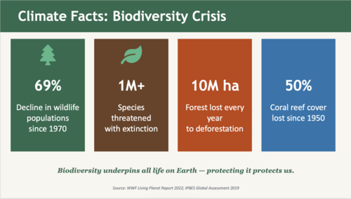 World Earth Day Assembly 2026 | Climate Change, Youth Activism ...