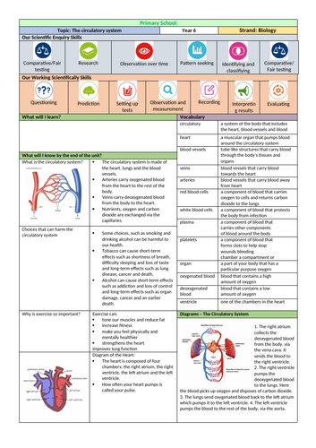 docx, 395.5 KB