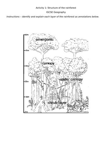 IGCSE Geography - Tropical Rainforest Structure, Soils & Adaptations ...