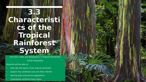 IGCSE Geography - Tropical Rainforest Structure, Soils & Adaptations ...