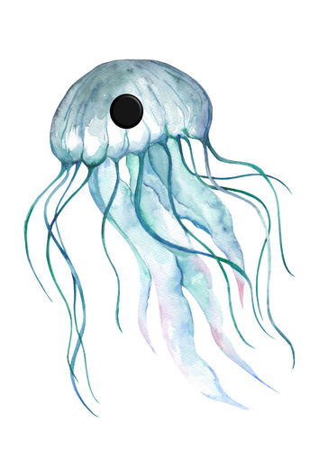 Jellyfish subitising & matching