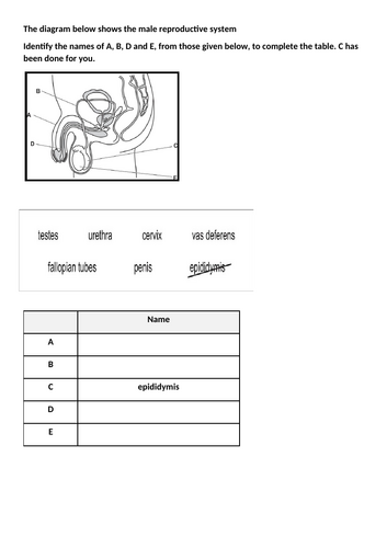 docx, 234.45 KB