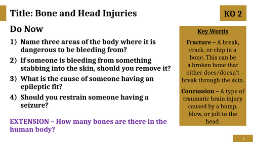 Bone and Head Injuries