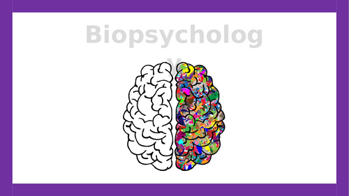 AQA A-level Psychology: Nervous System (Lesson 1 of Biopsychology)
