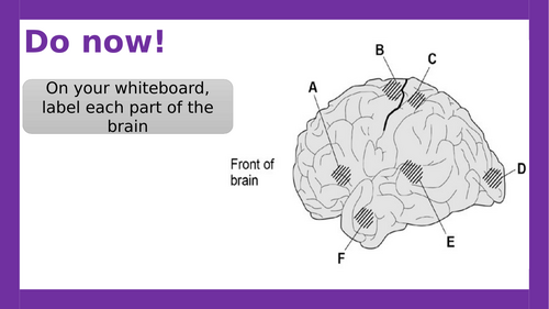 AQA A-level Psychology: Localisation of Function Evaluation (Lesson 8 of Biopsychology)