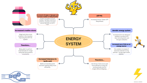 Level 3 BTEC Sport Unit 1 Adaptations of the systems | Teaching Resources