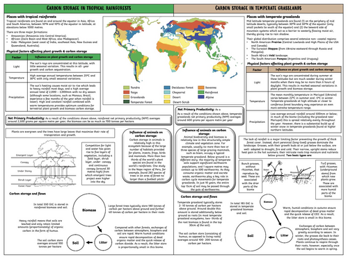 Water and Carbon Cycles, A Level Geography, WJEC / Eduqas | Teaching ...