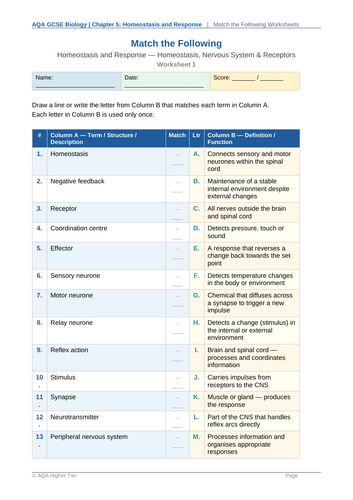GCSE Biology Homeostasis AQA 8461 Revision, Worksheets & Exam Practice ...