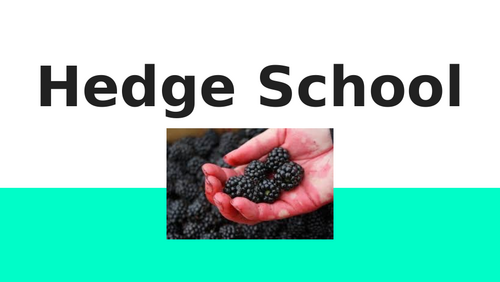 Hedge School - Owen Sheers