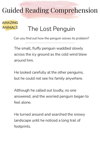 Year 2 Reading Comprehension Pack – 5 Texts with Questions and Answers ...