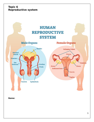 AAQ OCR Health and Social Care F091 Topic 6 - Reproductive | Teaching ...