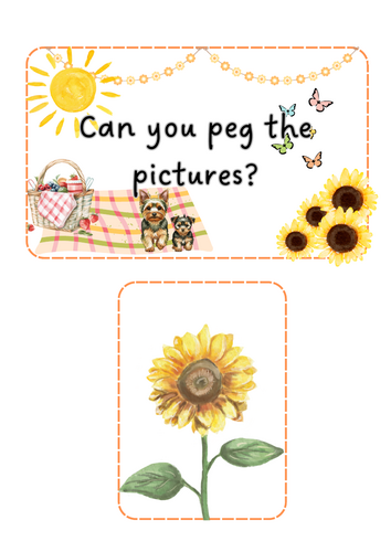 Summer - peg the pictures