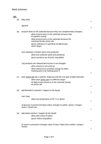 docx, 23.23 KB