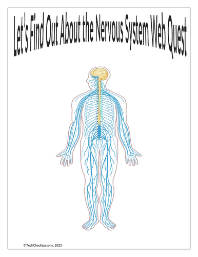Nervous System Webquest | Editable Digital Science Activity | Teaching ...