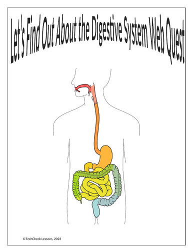 Digestive System Webquest | Editable Digital Science Activity ...