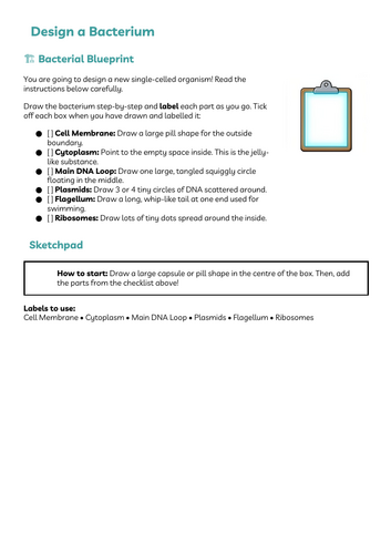 docx, 205.43 KB