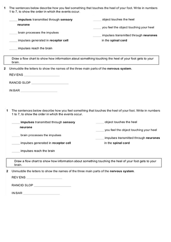 GCSE AQA Biology Topic 5 Homeostasis and responses | Teaching Resources