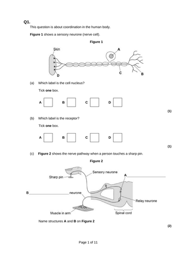 GCSE AQA Biology Topic 5 Homeostasis and responses | Teaching Resources