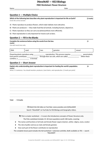 docx, 10.11 KB