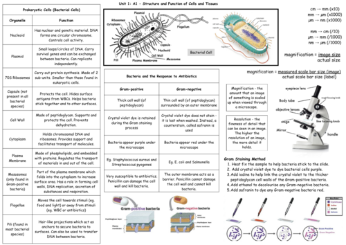 BTEC Applied Science Level 3 AAQ Biology Unit 1A: Structure and ...