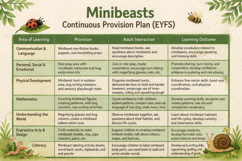 EYFS Minibeast Planning and Provision | Teaching Resources