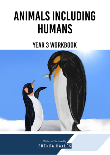 pdf, 607.39 KB