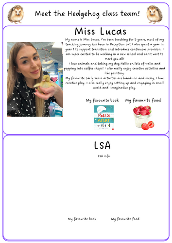 Transition - Meet the team