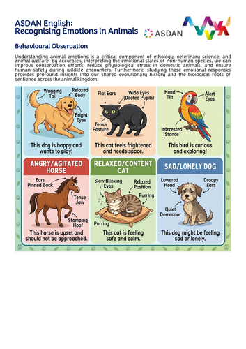 ASDAN Animal Care - Bundle 2 - 13 lesson activities | Teaching Resources