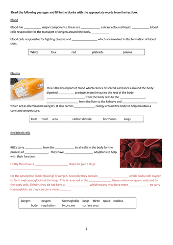 Components of the blood | Teaching Resources