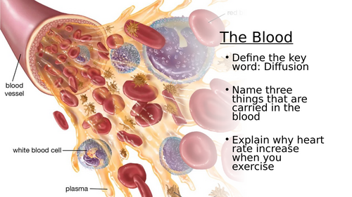Components of the blood | Teaching Resources