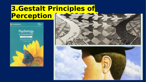 Visual Perception Gestalt Principles (English & Chinese; 0266 IGCSE ...