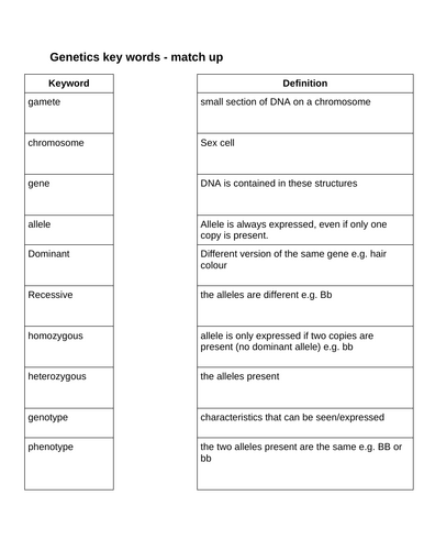 docx, 7.72 KB