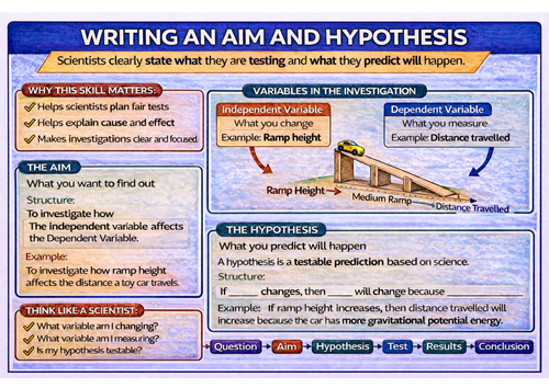 Writing an Aim and Hypothesis Poster: Investigate Like a Scientist ...