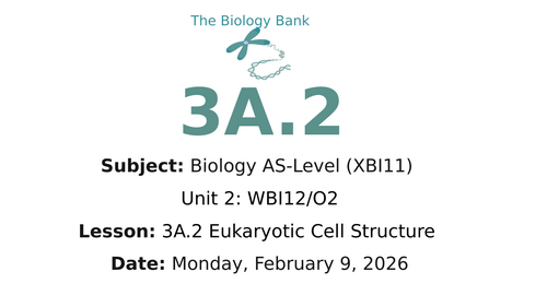 3A.2 Eukaryotic Cells Pearson Edexcel International A Level Biology ...