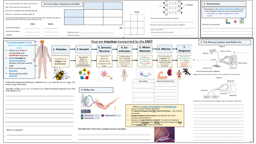 AQA GCSE Biology Homeostasis Triple Revision 4-5 Lessons | Teaching ...
