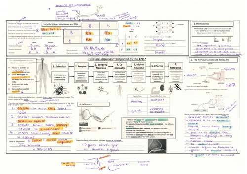 AQA GCSE Biology Homeostasis Triple Revision 4-5 Lessons | Teaching ...