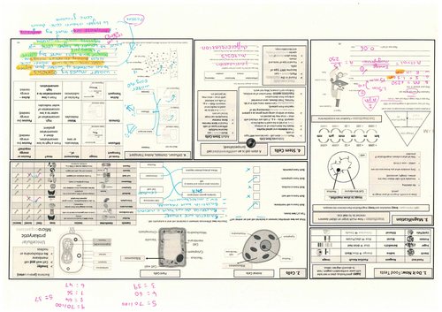 AQA GCSE Biology Paper 1 Triple Revision 4+ lessons | Teaching Resources