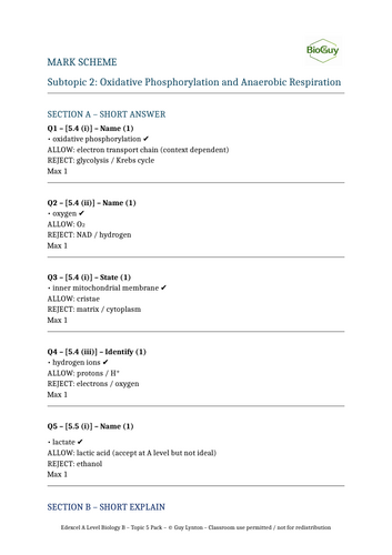 docx, 86.64 KB